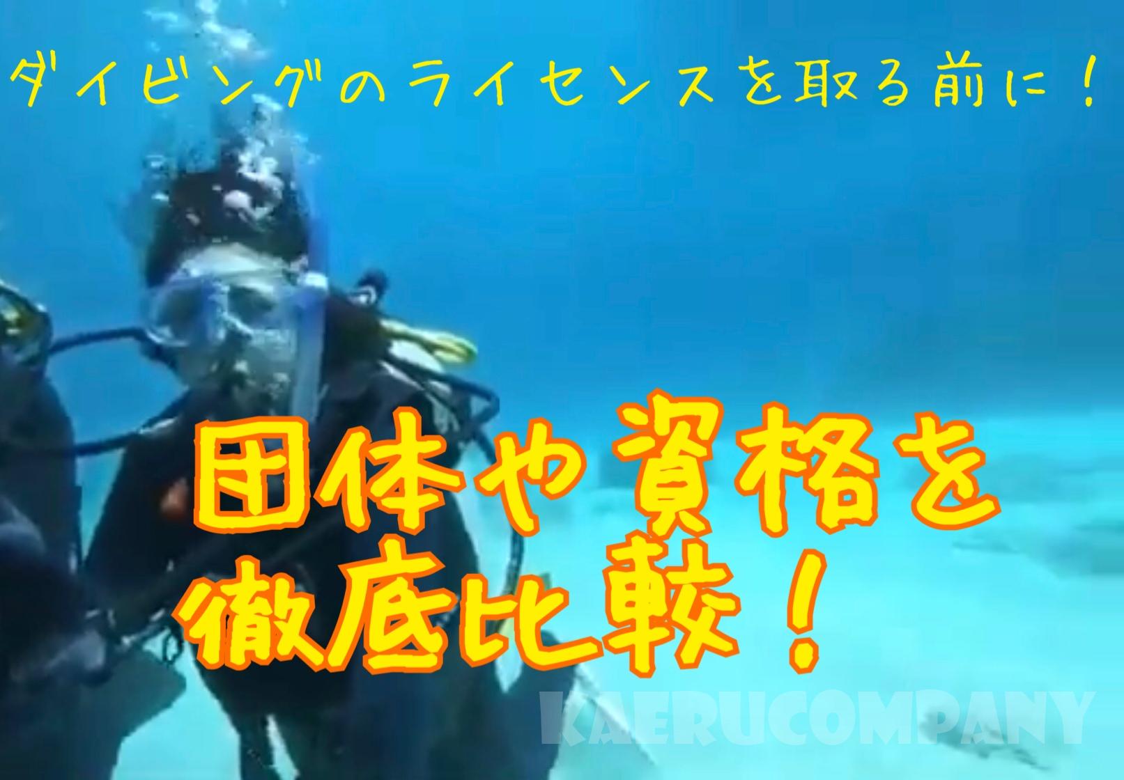 ダイビングのライセンスを取る前に!団体や資格を徹底比較!