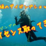 那覇最安値のダイビングショップでライセンス取ってきた！