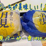 月見バーガーと濃厚ふわとろ月見食べ比べてみました2020