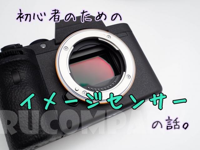 【一眼レフ初心者向け】センサーサイズって結局なんなの?