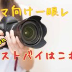 【2021最新】カメラママが教えるママ向けNikon一眼レフベストバイはこれ！D3600、D5600、D7500を主婦目線で比較した