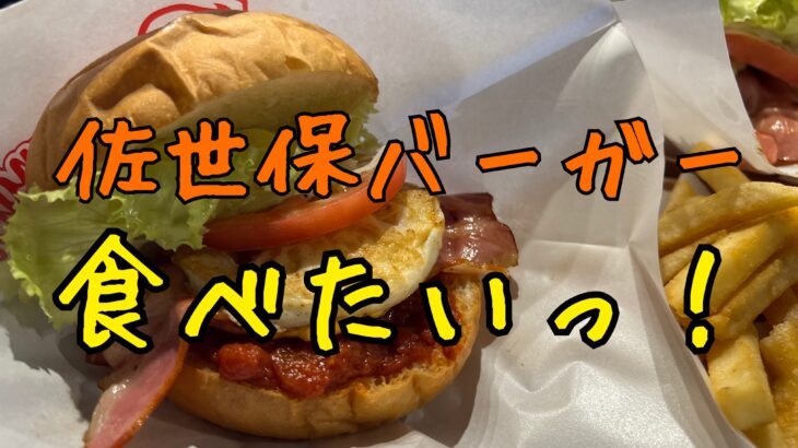 佐世保バーガーが食べたい!九十九島を見ながら絶品の佐世保バーガーを食べる。
