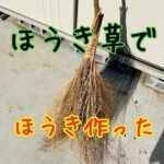 ほうき草でほうきを作りました