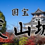現存天守！国宝犬山城に行ってきた！