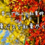 桃太郎紅葉船で犬山城と紅葉を最大に楽しむ！