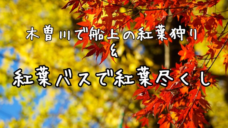桃太郎紅葉船で犬山城と紅葉を最大に楽しむ!