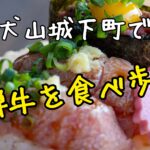 犬山城下町で飛騨牛を食べ歩き！
