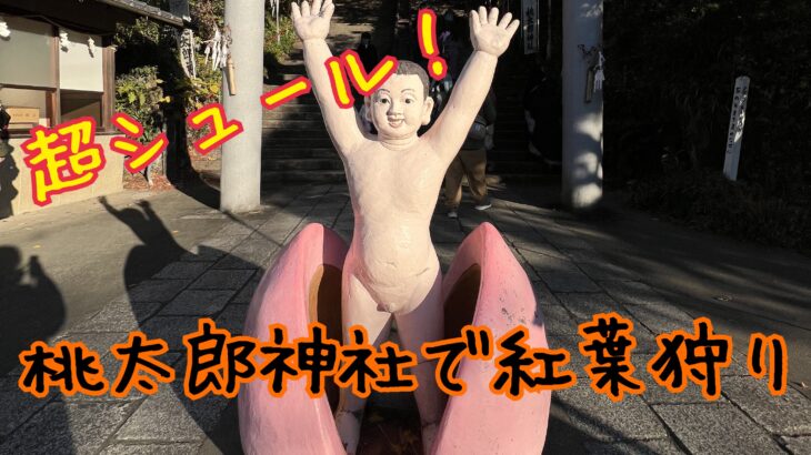 クセの強すぎる桃太郎神社で紅葉狩り