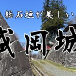 総石垣！年代の違う石垣も見れる、石垣ファンにはたまらないお城【盛岡城】行ってきた