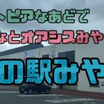 本州最東端の道の駅「みなとオアシスみやこ」で海鮮丼を食べる