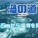 鳴門海峡の渦潮を45mの高さから徒歩で見下ろしてきた
