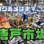 唐戸市場を堪能せよ！