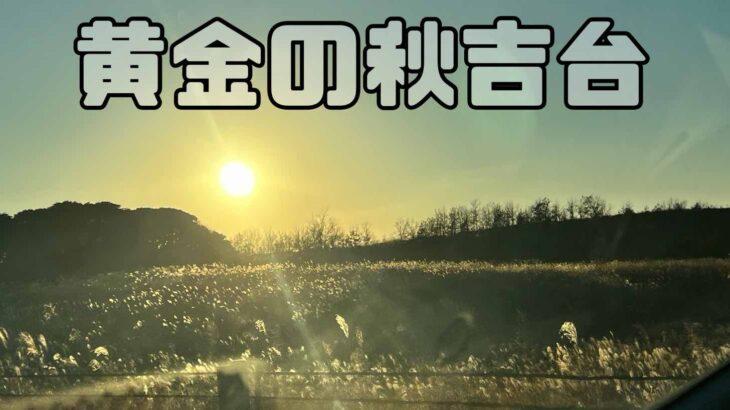 夕暮れの秋吉台を通過します